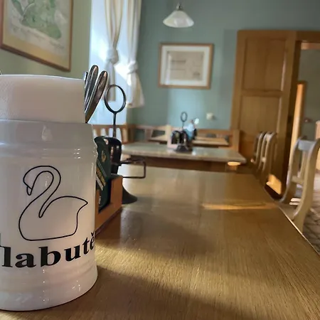 Penzion Restaurace A U Labutě